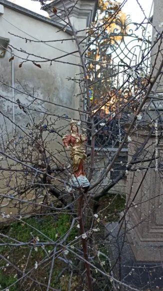 Madonna dei fiori: il santuario di Bra si prepara alla festa dell’apparizione 1