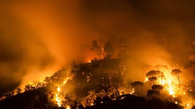 Immagine di repertorio