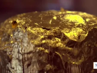 Sfornati a Carmagnola i panettoni più preziosi al mondo