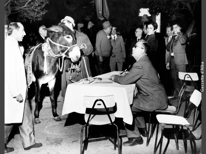 Storie di Langa. Il veterinario Dario Peirano festeggia 99 anni 1