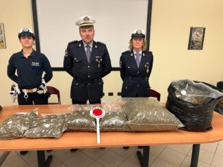 A Bra, i Carabinieri hanno arrestato un albanese con 14 kg di marijuana