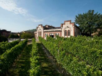 “Vino e mercati”: la sfida dell’enoturismo per il futuro del settore vitivinicolo piemontese