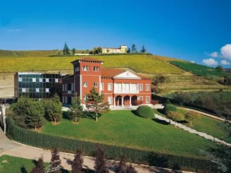 Italian wine brands vuole chiudere la Giordano vini in Valle Talloria e spostare la produzione a Bardolino (Verona)