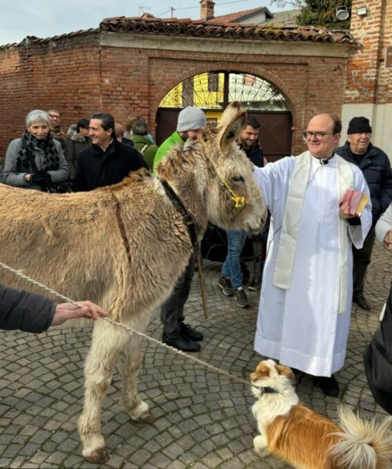 A Madonna del Pilone “Benedizione degli animali”, domenica prossima al Santuario Madonna dei fiori 5