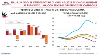 Vendemmia 2023, in Piemonte la produzione di uva scende del 14% e la qualità è ottima 2
