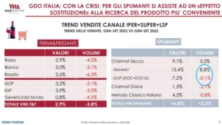 Vendemmia 2023, in Piemonte la produzione di uva scende del 14% e la qualità è ottima 3