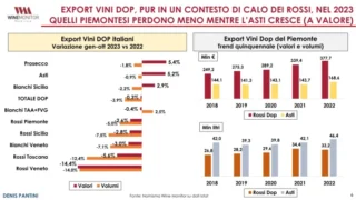 Vendemmia 2023, in Piemonte la produzione di uva scende del 14% e la qualità è ottima 4