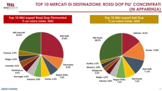 Vendemmia 2023, in Piemonte la produzione di uva scende del 14% e la qualità è ottima 5