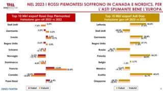 Vendemmia 2023, in Piemonte la produzione di uva scende del 14% e la qualità è ottima 6