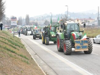 Gli agricoltori di Langhe e Roero protestano ad Alba con i trattori (FOTO e VIDEO) 15