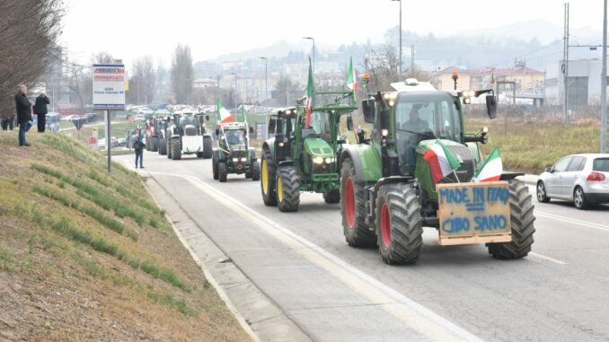 Gli agricoltori di Langhe e Roero protestano ad Alba con i trattori (FOTO e VIDEO) 15