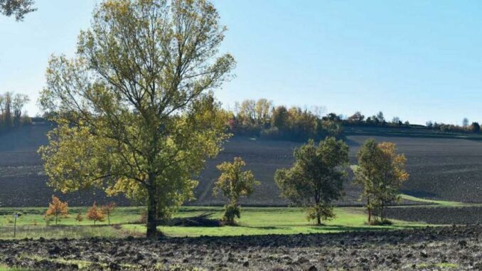 Sportello forestale itinerante, le prossime tappe del camper della Regione Piemonte