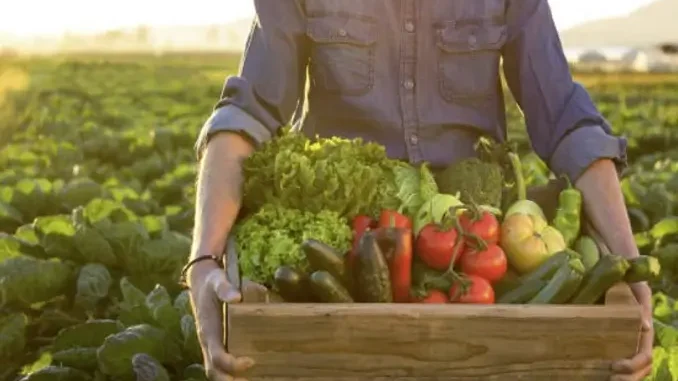 9 milioni di euro per le aziende agricole piemontesi