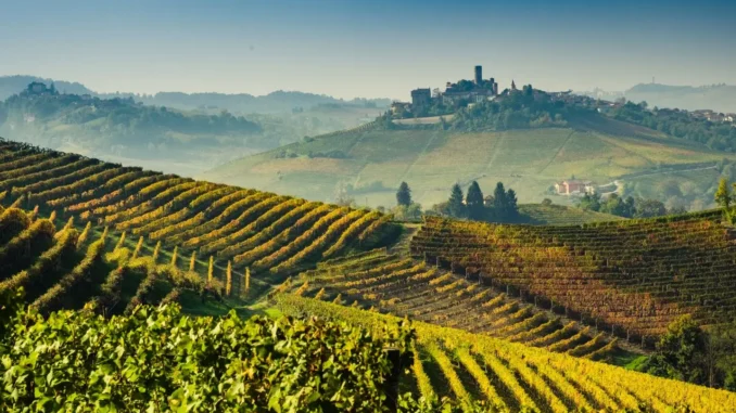 Gli appuntamenti del fine settimana ad Alba, Langhe e dintorni
