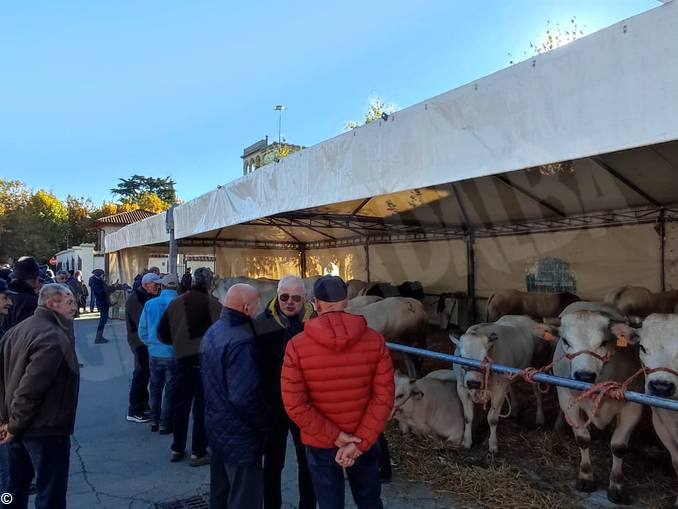 A Narzole un ricco programma di iniziative da aprile all'autunno 2