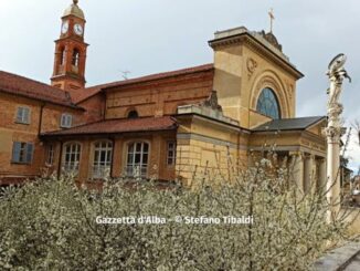 Fioritura primaverile nel pruneto della Madonna dei Fiori (FOTOGALLERY)