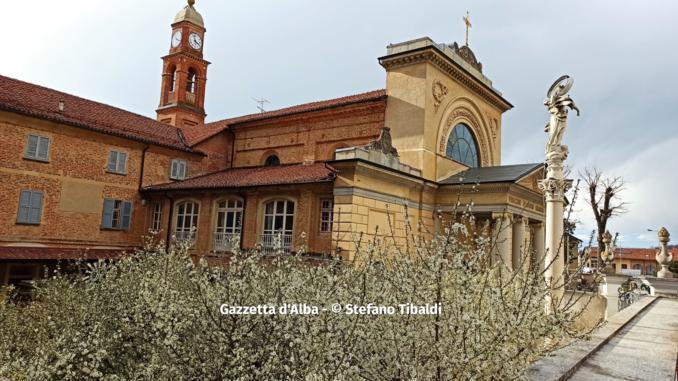 Fioritura primaverile nel pruneto della Madonna dei Fiori (FOTOGALLERY)