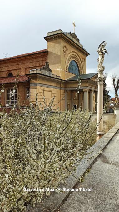 Fioritura primaverile nel pruneto della Madonna dei Fiori (FOTOGALLERY) 1