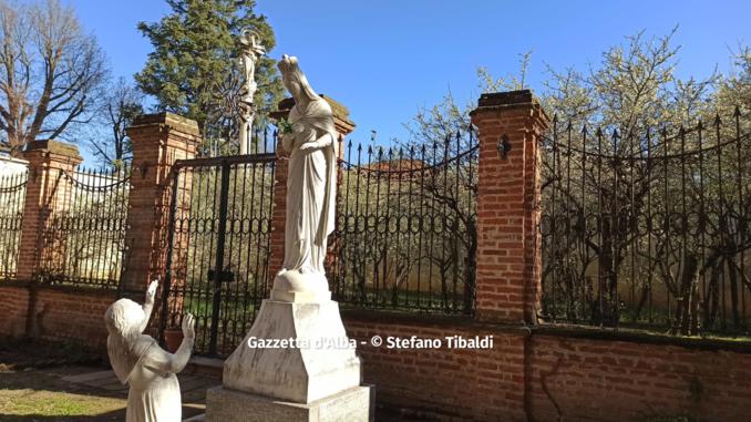 Fioritura primaverile nel pruneto della Madonna dei Fiori (FOTOGALLERY) 4