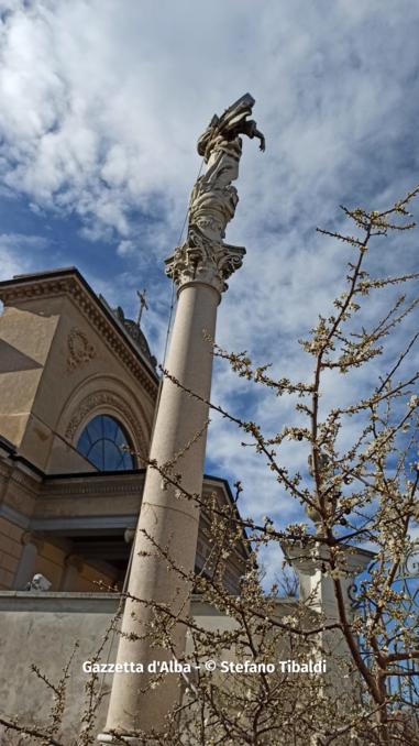 Fioritura primaverile nel pruneto della Madonna dei Fiori (FOTOGALLERY) 6