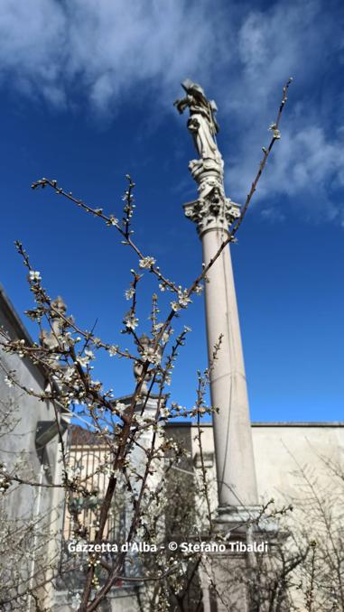 Fioritura primaverile nel pruneto della Madonna dei Fiori (FOTOGALLERY) 8