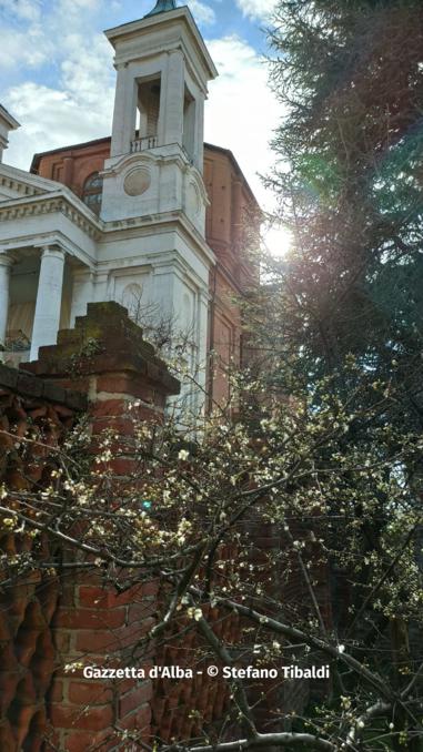 Fioritura primaverile nel pruneto della Madonna dei Fiori (FOTOGALLERY) 9