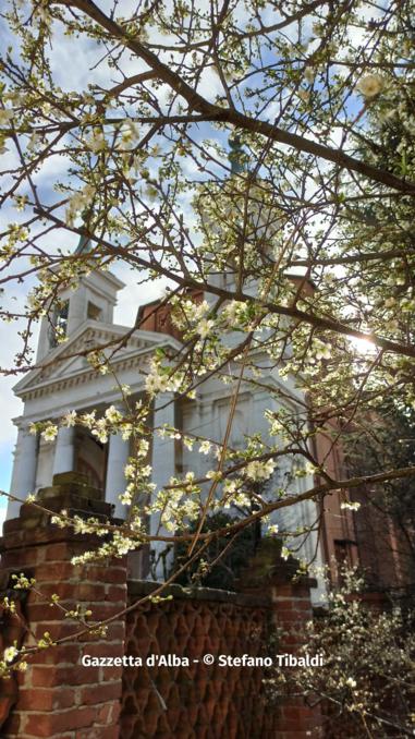 Fioritura primaverile nel pruneto della Madonna dei Fiori (FOTOGALLERY) 10