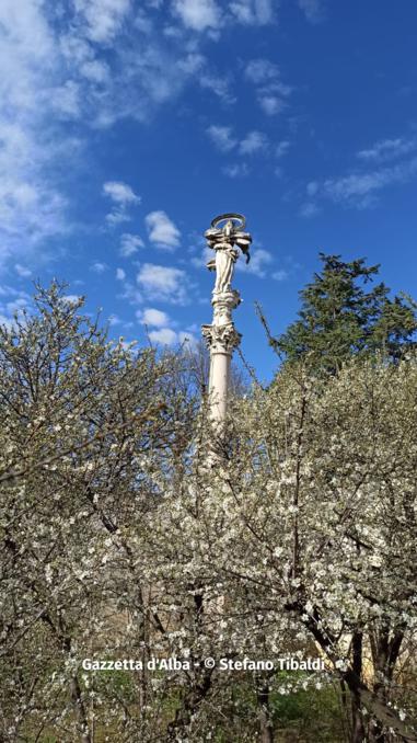 Fioritura primaverile nel pruneto della Madonna dei Fiori (FOTOGALLERY) 11