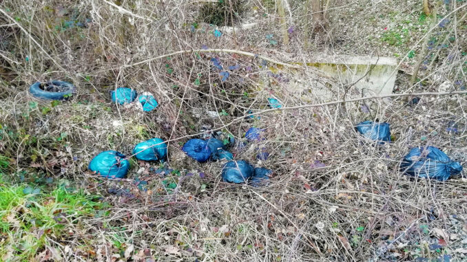 strada Santa Rosalia Alba, strada Santa Rosalia è tornata a essere una discarica a cielo aperto (VIDEO)