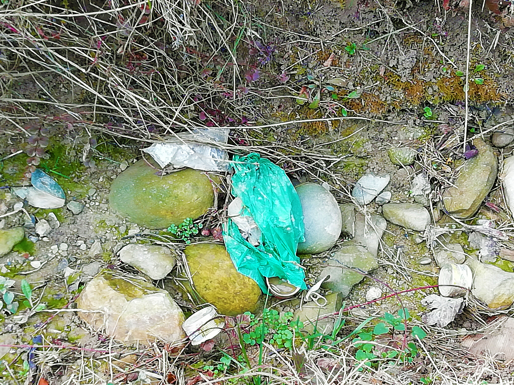 Alba, strada Santa Rosalia è tornata a essere una discarica a cielo aperto (VIDEO) 5