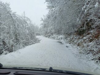 Le foto della nevicata di marzo in Alta Langa