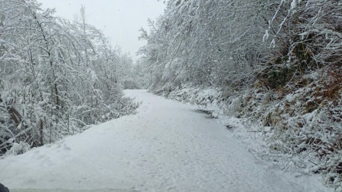 Le foto della nevicata di marzo in Alta Langa