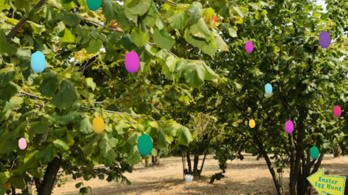 Caccia alle uova di Pasqua, una giornata ad Alba dedicata ai bambini tra i 4 e i 10 anni