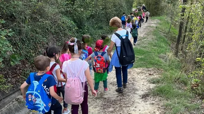 Natura da vivere sulla Strada romantica 1