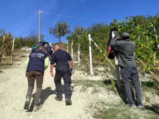 Caporalato nelle vigne di Langa coinvolte 9 persone, sequestrati 11 veicoli, identificati 40 lavoratori 3