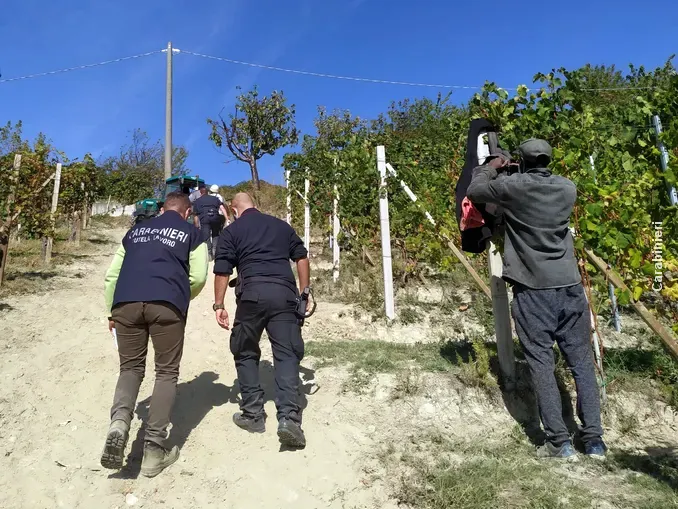 Caporalato nelle vigne di Langa 