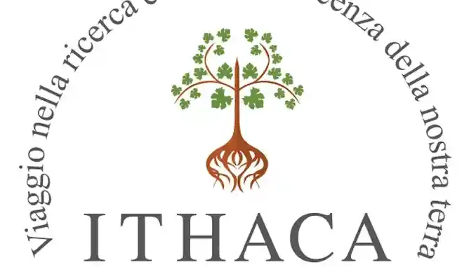 Ithaca parla della crisi della democrazia rappresentativa. Incontro ad Alba lunedì 8 aprile 1