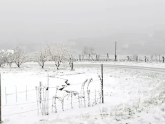 Previsioni del tempo allerta gialla per neve, anche in Langa e valanghe 1