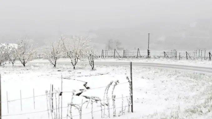 Previsioni del tempo allerta gialla per neve, anche in Langa e valanghe 1