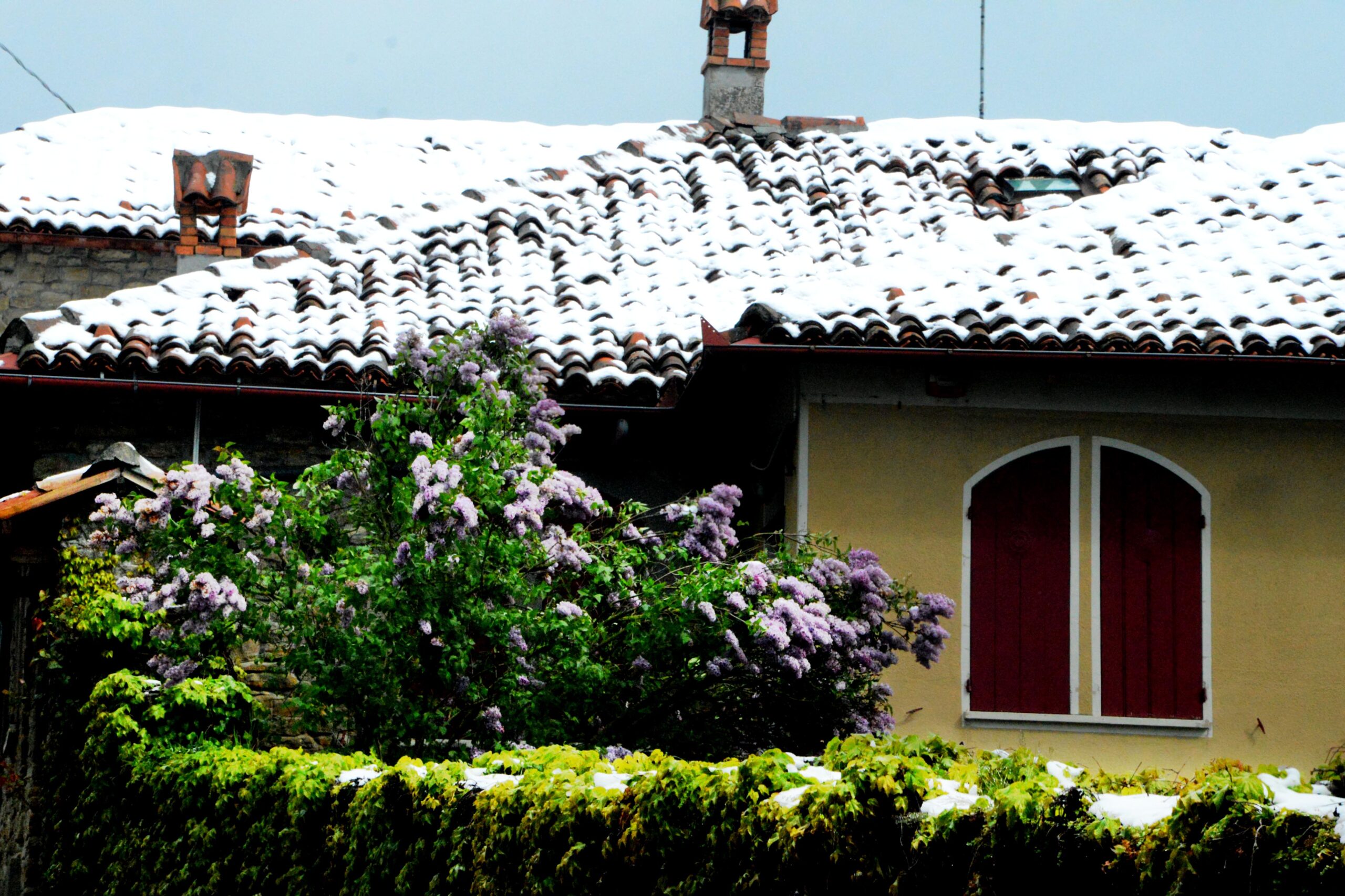 Neve in alta Langa, per i prossimi giorni condizioni soleggiate