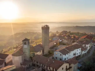 Citaca porta le Radici connesse nei campi di lavanda di Ansèm, sulle colline di Alba