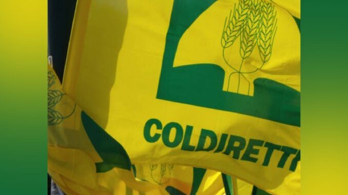 Presidio “giallo” in programma al Brennero in difesa dell’agroalimentare, scendono in campo numerosi agricoltori di Coldiretti Asti