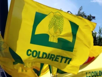 Tangenziale Sud-ovest di Asti: Coldiretti boccia l'ipotesi contenuta nel tracciato giallo