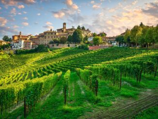 Il tour di Borgo divino sbarca a Neive dal 10 al 12 maggio