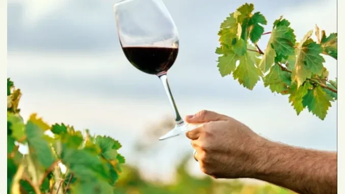 degustazioni