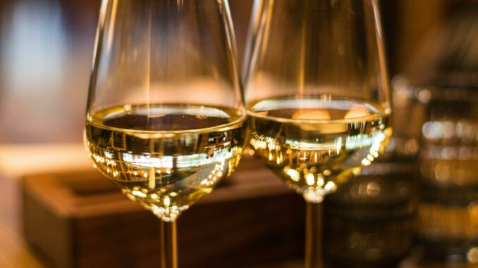 Degusta Vinleo porta gli amanti del buon bere alla cantina santostefanese Tojo