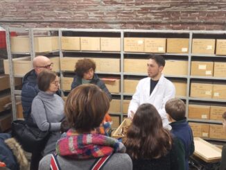 I depositi del Museo Eusebio di Alba aperti al pubblico domenica 2 giugno
