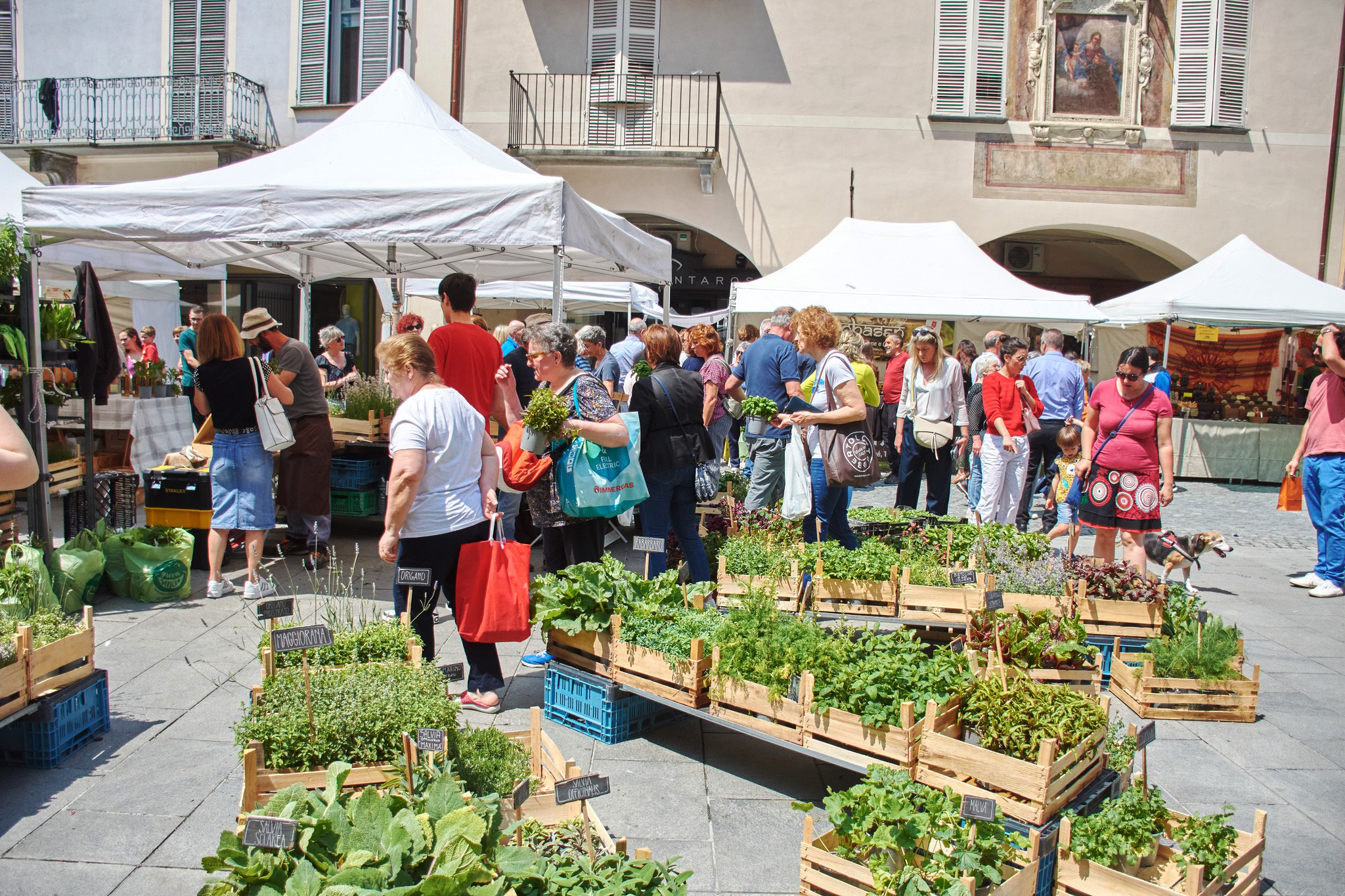 A Savigliano QuintEssenza si presenta con una mostra di Ricci 1