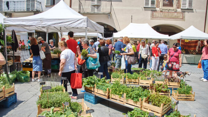 Quintessenza Savigliano Quintessenza invade la città di Savigliano con i colori e i profumi della primavera