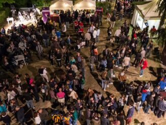 Dal 17 al 19 maggio, Festa del Ruchè a Castagnole Monferrato